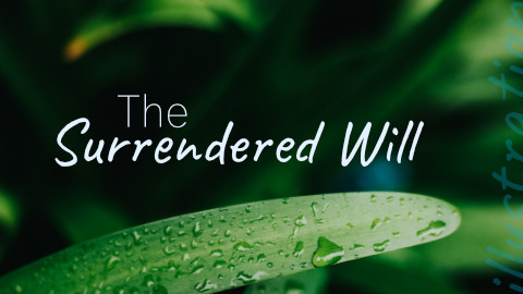 The Surrendered Will